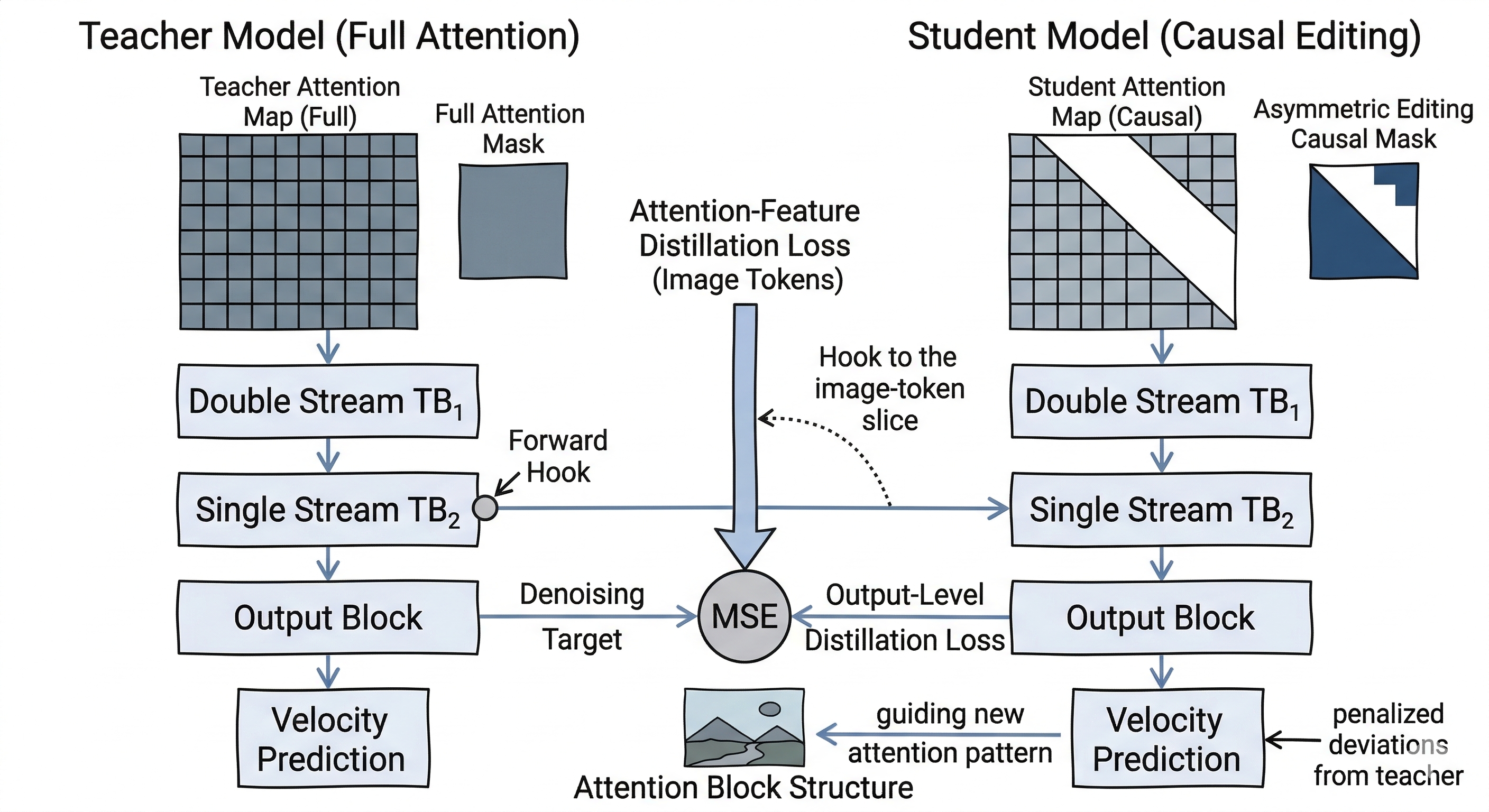 Causal attention distillation